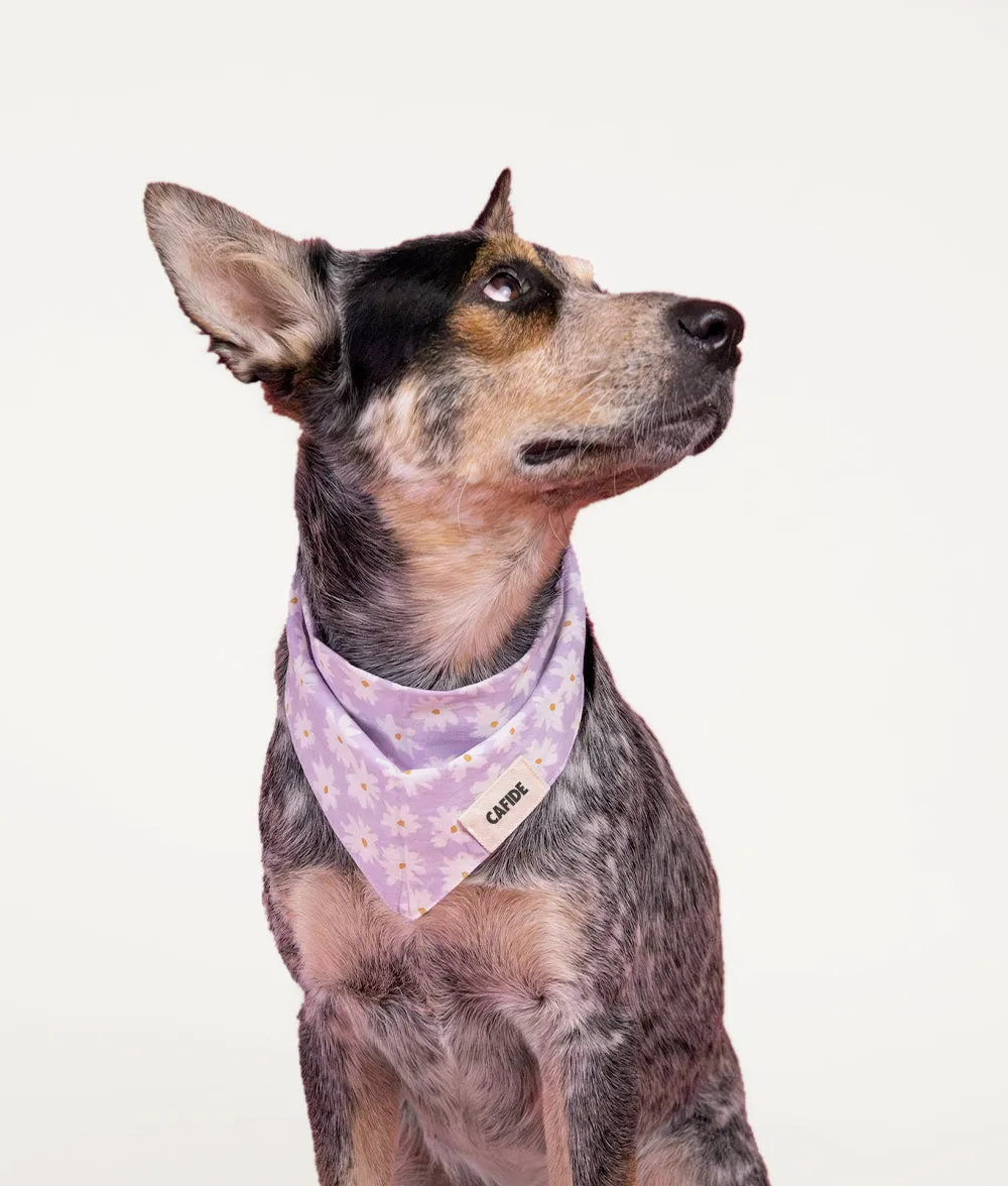 Bandana Perro Diseño Flores Violeta, Nata