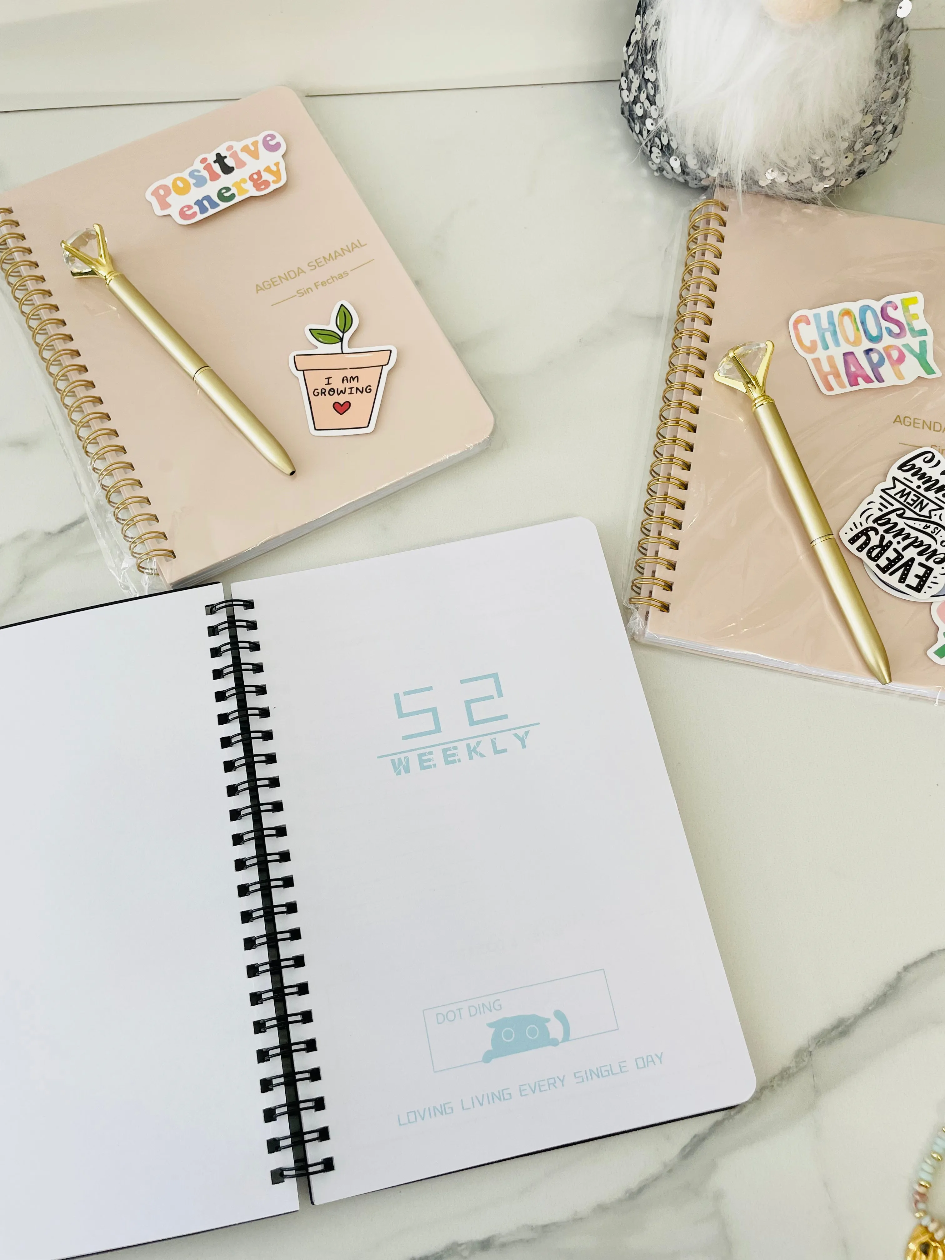 Kit Agenda de 52 Semanas