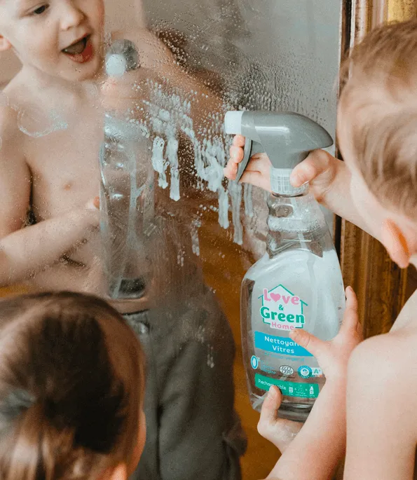 Nettoyant vitres certifié Ecodétergent à l'alcool végétal - 750ml