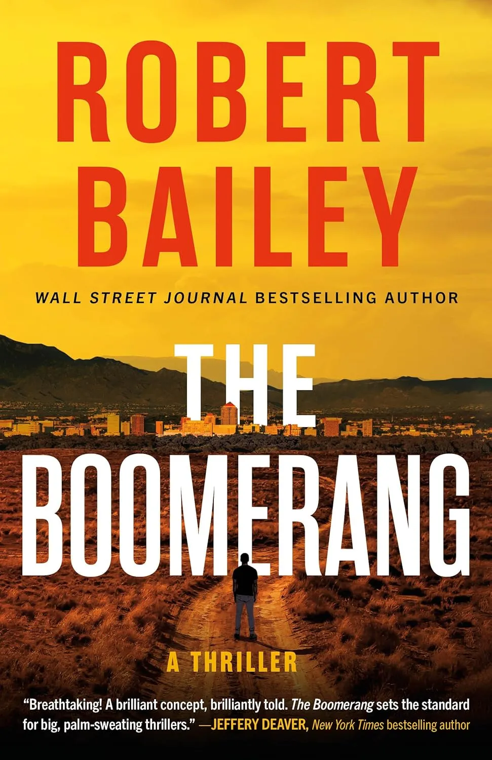 The Boomerang: A Thriller Hardcover  May 1, 2025