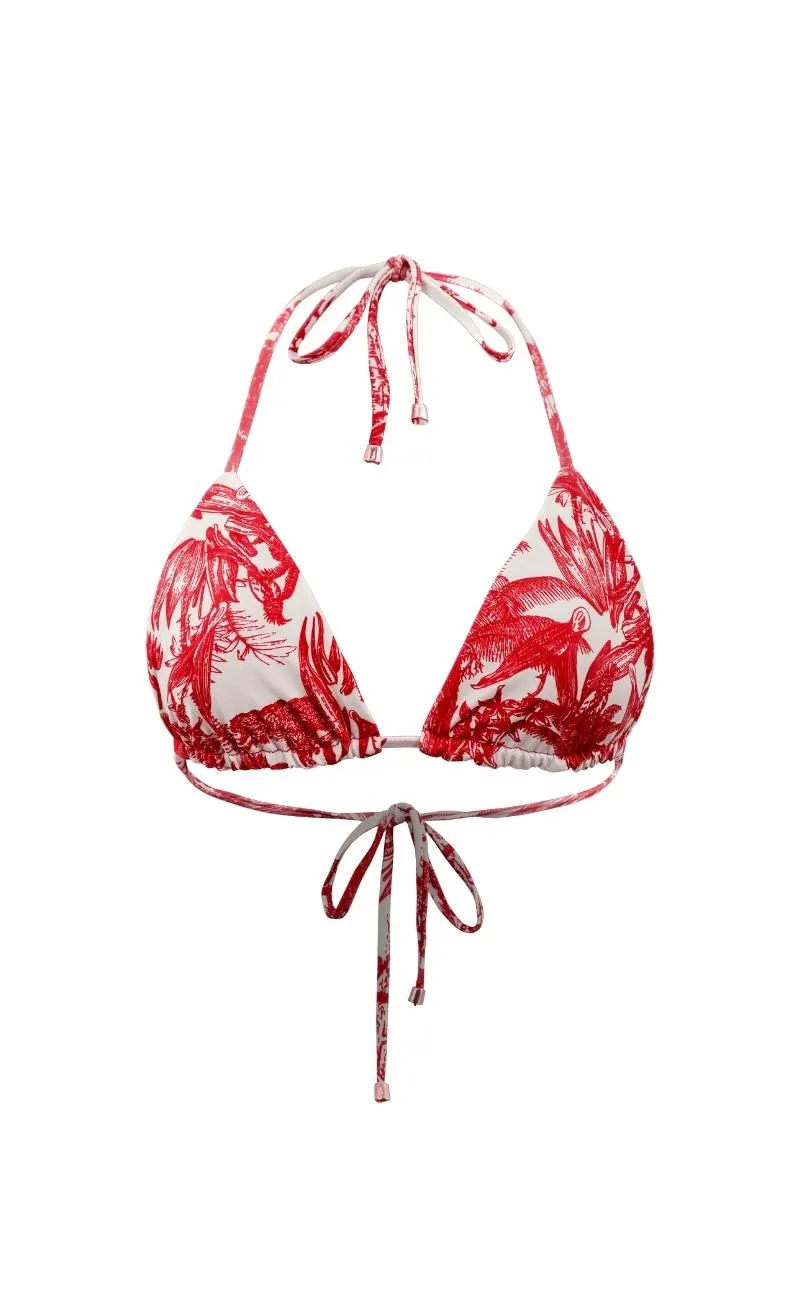 TOP BIKINI TRIANGULO BRAMHA